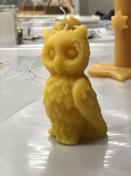 IMG 1252